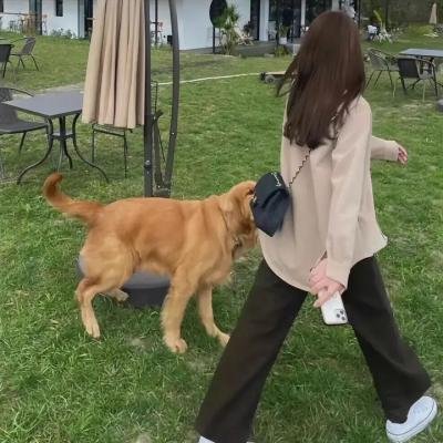 女孩上场第二季